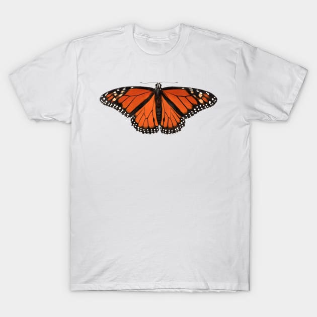 Monarch T-Shirt by JadaFitch